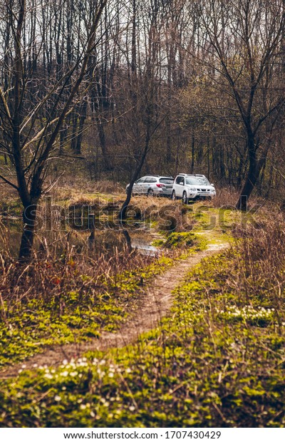 two suv car in forest. foot\
path