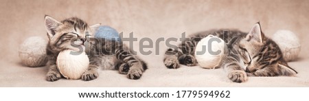 Two tabby kittens sleeping among balls of yarn. 
