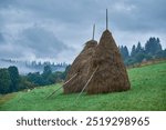 Two tall, conical haystacks stand in a lush green meadow, supported by wooden poles. Misty hills and dense forest trees frame the background, beneath a moody, overcast sky