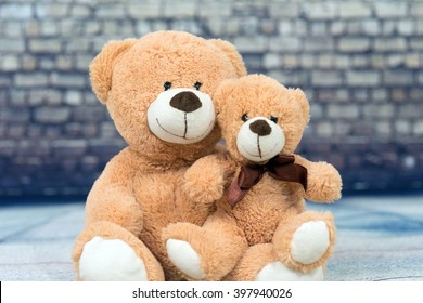 two teddy bear friends / Friends