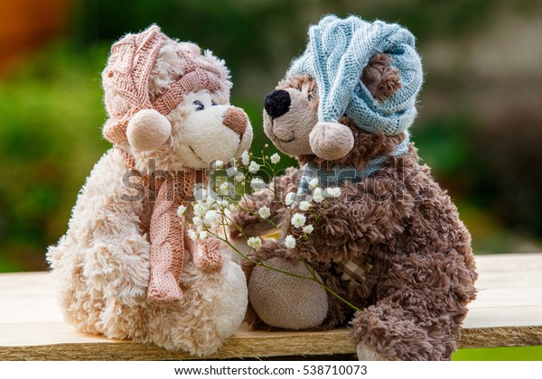 two teddy bear