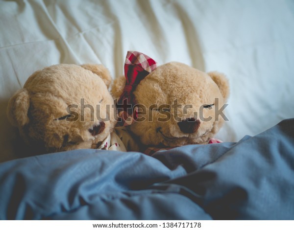 teddy bear lovers