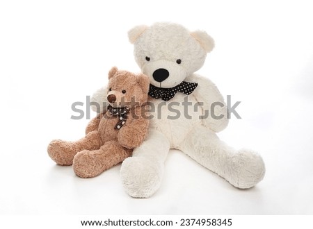 Two Teddy bears hugging each other over white background