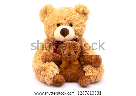 Two teddy bears isolated on white background