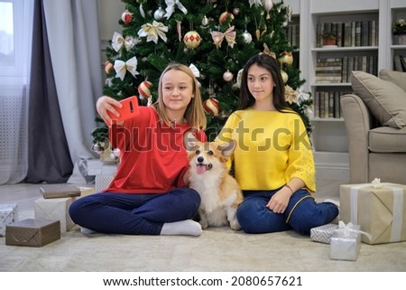 two teen girls Smiling making selfie photo together with a small dog corgi. Merry Christmas and Happy New Year. Christmas celebration.