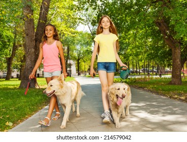 Two Teenage Girls Walking With Dogs In Park