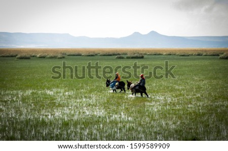 Similar – Image, Stock Photo Two teenagers race through the sunshine on a sled, dusted with snow