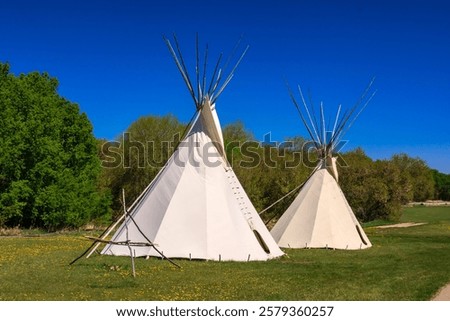 Two teepees are standing in a grassy field. The teepees are white and are facing the sky. The sky is blue and clear