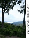 two thin trees sit a top a small hill near a road side overlook, this pullover had a small park with a scenic view of the valley below with rolling blue hills of Appalachia USA