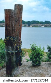 Two Tie Posts For Boats On Lake Conroe In Montgomery County, Texas