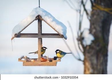 speckled tit birdfeeder Speckled tit birdfeeder