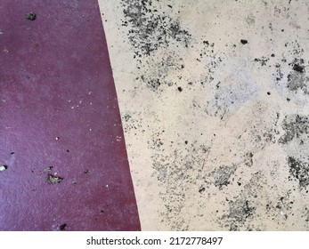 Two Tone Floor Red And White