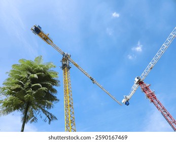 Two towering construction cranes stand against a bright blue sky, with a lush green tree in the foreground. This image symbolizes urban development, engineering, and modern infrastructure growth.