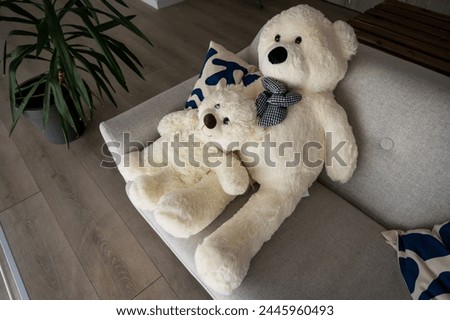 Two toy polar bears of different sizes -a large and a small , sit side by side on a beige sofa with white and blue cushions next to a pot with a green yucca plant in a stylish room with a wooden floor