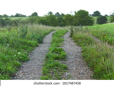 two tracks running through a field