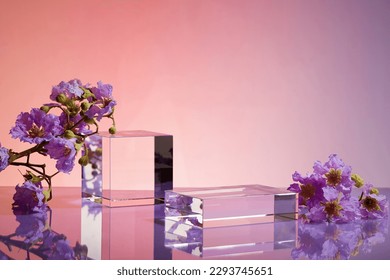 Two transparent podiums in cube and rectangle shape are arranged with many purple flowers on gradient background. Vacant space to display natural beauty product.