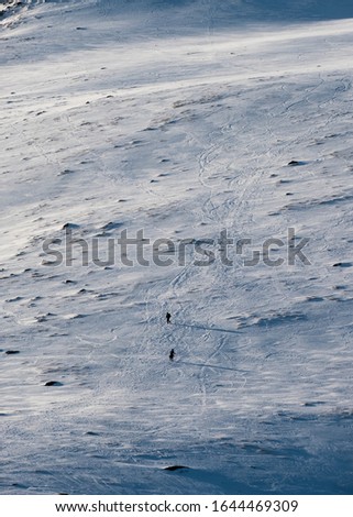 Similar – Foto Bild Einsamkeit Außenaufnahme