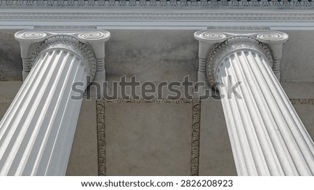 Two Treasury Building Ionic columns reveal volute capitals and portico ceiling.