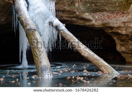 Two tree trunks that washed down a small creek and lodged in a waterfall become part of the icefall in winter, Kaskaskia Canyon, Starved Rocks State Park, LaSalle County, Illinois