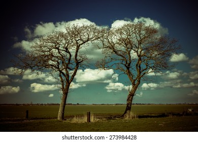 Two Trees
