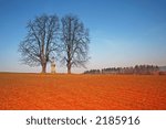 Two trees in a field