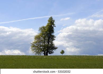 Two Trees On A Field - One Big And One Small.