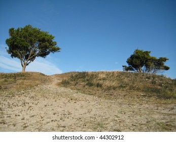 Two Trees on a Hill