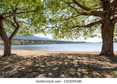 Two trees on the sandy beach creating an idyllic relaxing spot and view at James Chabot Provincial Park, Invermere on Lake Windermere, British Columbia