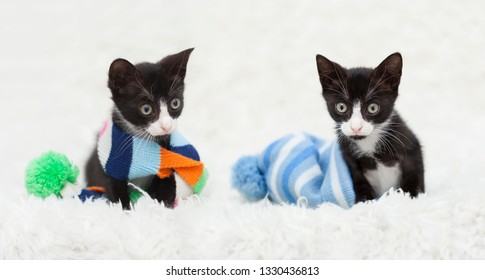 Two Tuxedo Kittens, One  Wearing A Striped Scarf, The Other Staying Warm Inside A Blue Striped Hat, On Top Of A White Shag Rug.