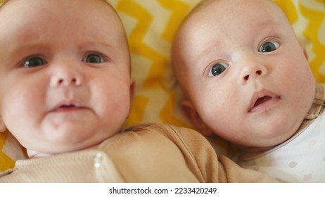 two twins lie in a bed. happy family kid dream concept. cute twins lie in fun bed in the bedroom in the evening smile look at the toy newborn boy and girl brother and sister - Powered by Shutterstock