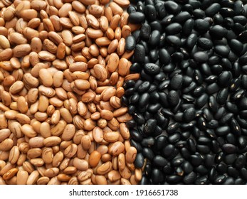 Two Types Of Bean Grains The Carioca And The Black 