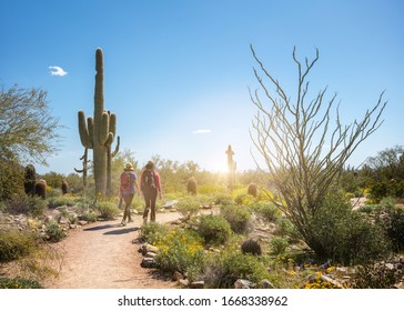 Two unidentifiable female hikers walking down a desert trail in Scottsdale, Arizona at sunrise.