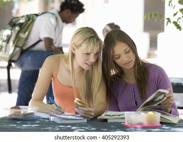 Two University Students Helping Each Other With Revision