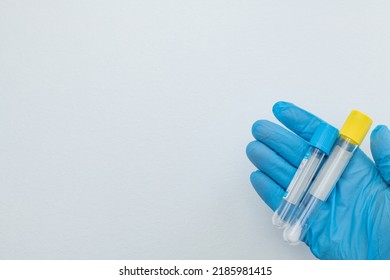 Two Vacuum Tubes For Collection And Blood Samples With Sodium Citrate In Blue Gloves For Laboratory. On White Background