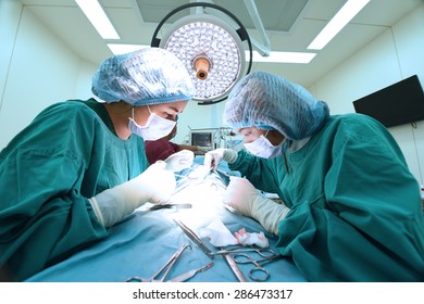 two veterinarian surgeons in operating room 