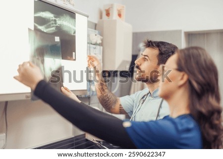Two veterinary professionals are closely examining X-ray films of a patient in a clinical setting. They analyze the images to provide accurate diagnosis and treatment plans.