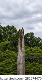 Two vibrant blue-and-yellow macaws (Ara ararauna) perched on the top of a dead palm tree surrounded by lush tropical forest under a dramatic cloudy sky. Wildlife photography showcasing the beauty of South American rainforest birds in their natural habitat.