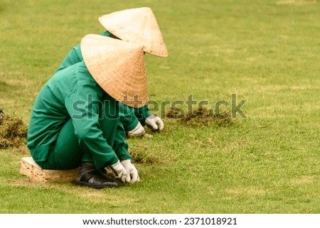 Two Vietnamese women wearing traditional bamboo conical hats, remove moss from a hotel lawn in Hoi An, Vietnam