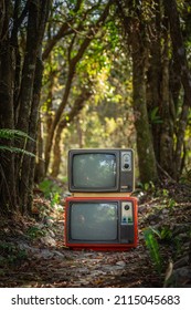 Two Vintage Televisions Stacked In Forest Background, Outdoor