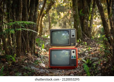 Two Vintage Televisions Stacked In Forest Background, Outdoor