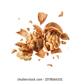 Two Walnuts Collided In The Air