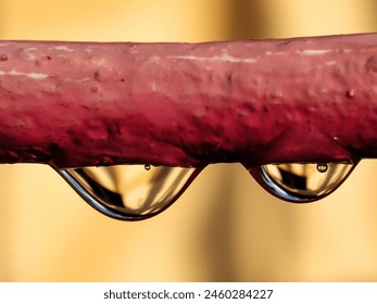 Two water droplets on a red fence wire on a yellow background - Powered by Shutterstock