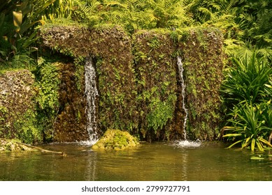 Two waterfalls cascade down the vertical, mossy rock wall covered with dense green fern leaves in the tropical garden pond area. The close-up capture highlights aquatic plant growth and water droplets on the stone block for landscaping and gardening design.