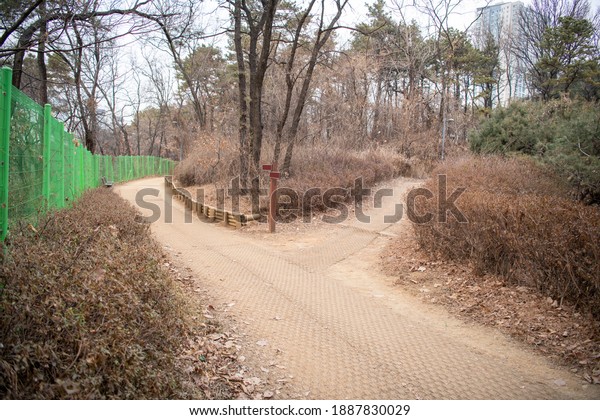 A two way road that\
divides the two directions of Hyeryeong Park, Gwanggyo New Town,\
Suwon, South Korea