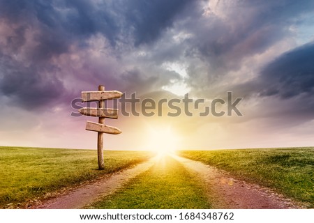 Two Ways Path on Field with Old Weathered Wood Signpost on Sunrise Sky Background