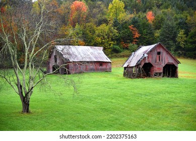 Two, Weathered And Faded, Red Barns Stand In Open Field In The Appalachian Mountains, In Tennessee.  Both Have Tin Roofs.