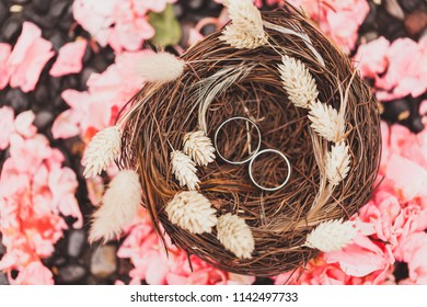 Two wedding rings in handmade wicker nest with dried wildflowers, boho style - Powered by Shutterstock