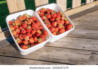 Two white containers brimming with freshly picked strawberries sit on a weathered wooden deck, bathed in natural light, showcasing the vibrant red hues and green stems of the fruit - Powered by Shutterstock