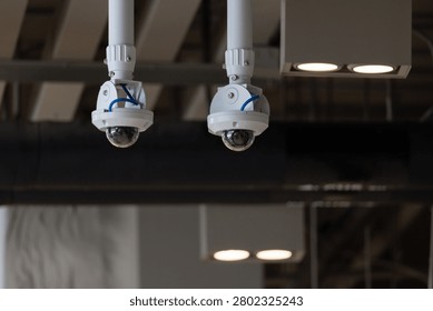 Two white dome security cameras hang from ceiling. Lights glow softly in background. Modern indoor setting suggests surveillance or safety. Image fits security, tech, or building concepts