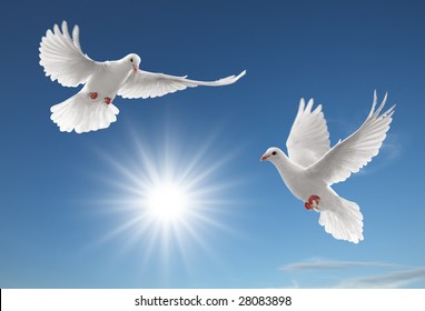 two white doves flying on clear blue sky - Powered by Shutterstock